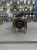 КОМ Камаз PF18029Р под насос 310.3.56 КОМ Камаз PF18029Р под насос 310.3.56